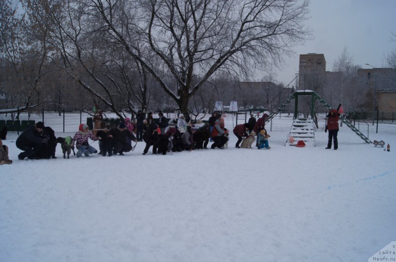 Фотография № 171393