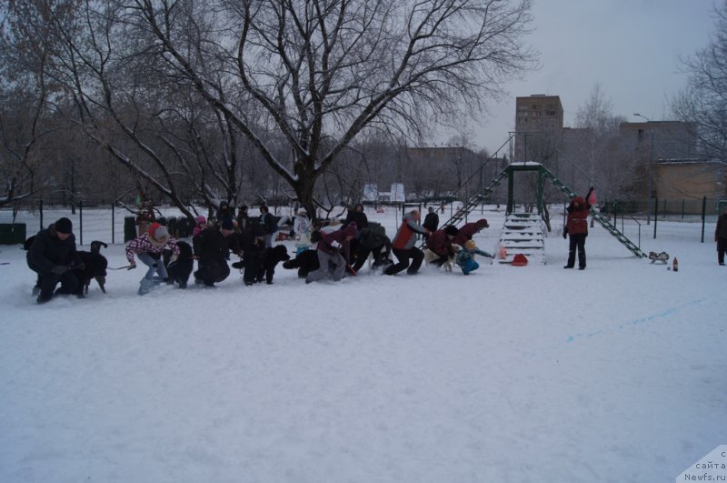 Фотография № 171394