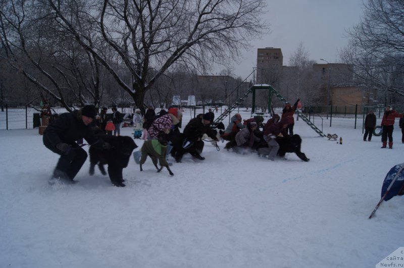 Фотография № 171395