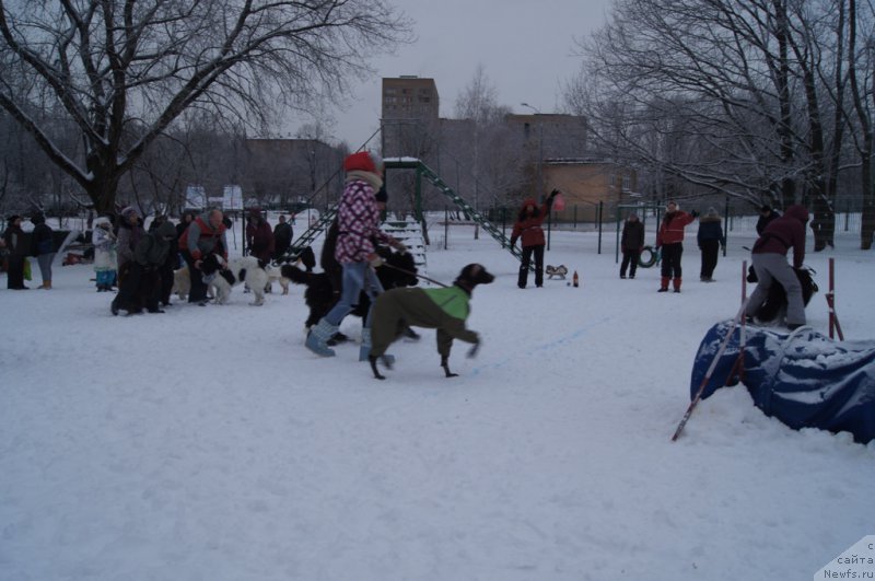 Фотография № 171396