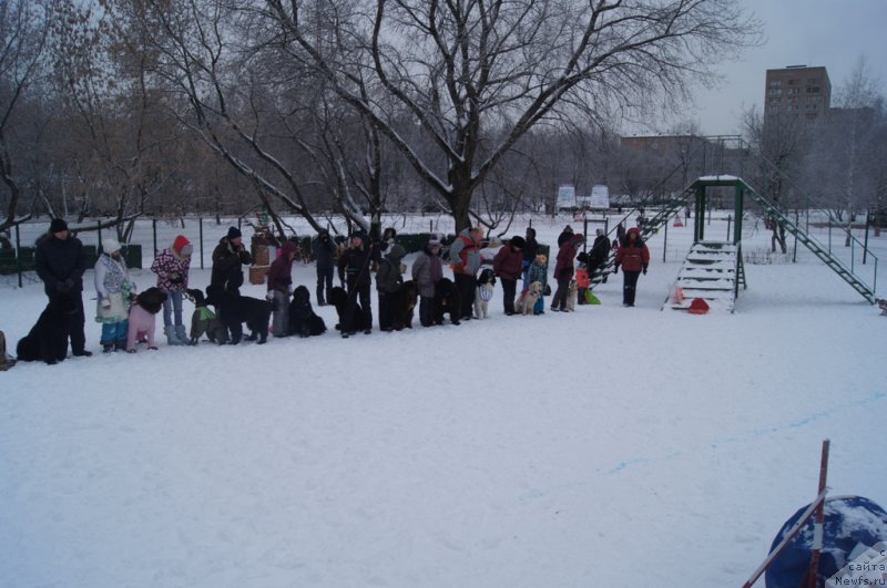 Фотография № 171398