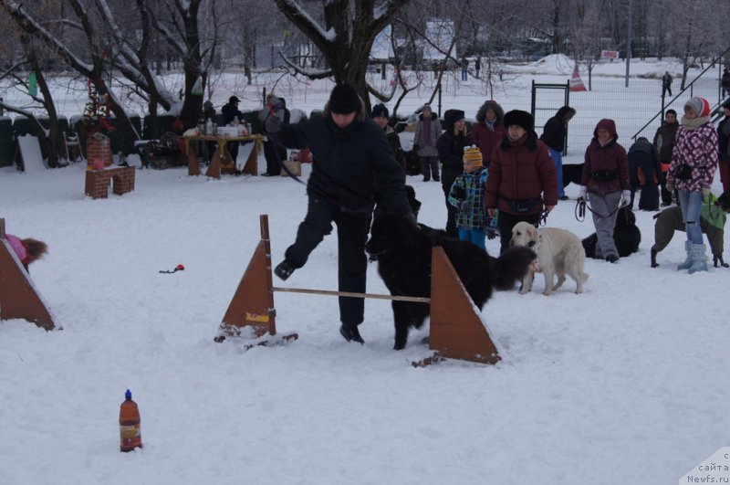 Фотография № 171399