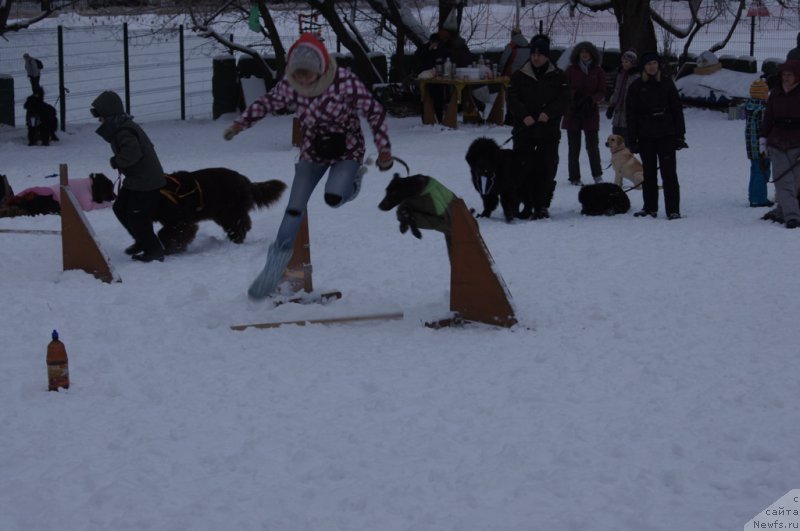 Фотография № 171402