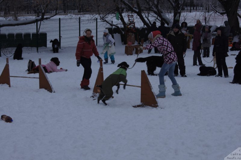 Фотография № 171403