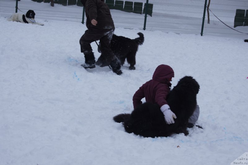 Фотография № 171404