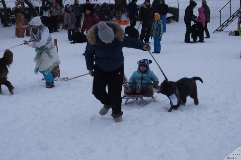 Фотография № 171406