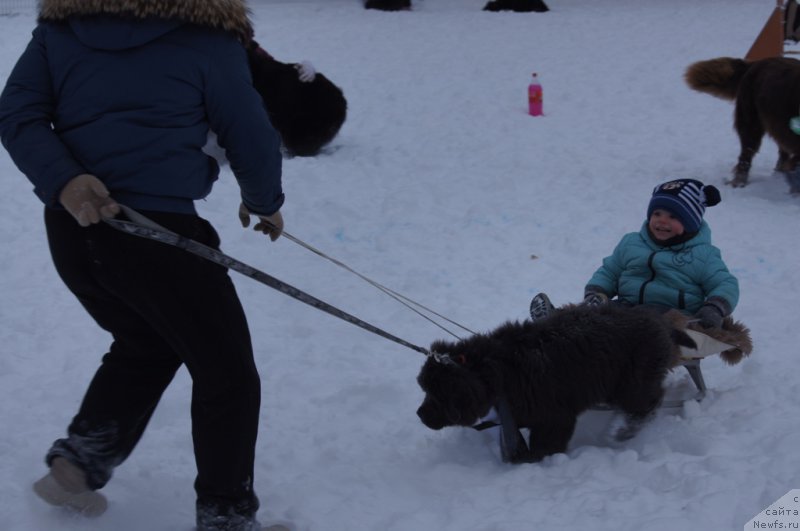 Фотография № 171407