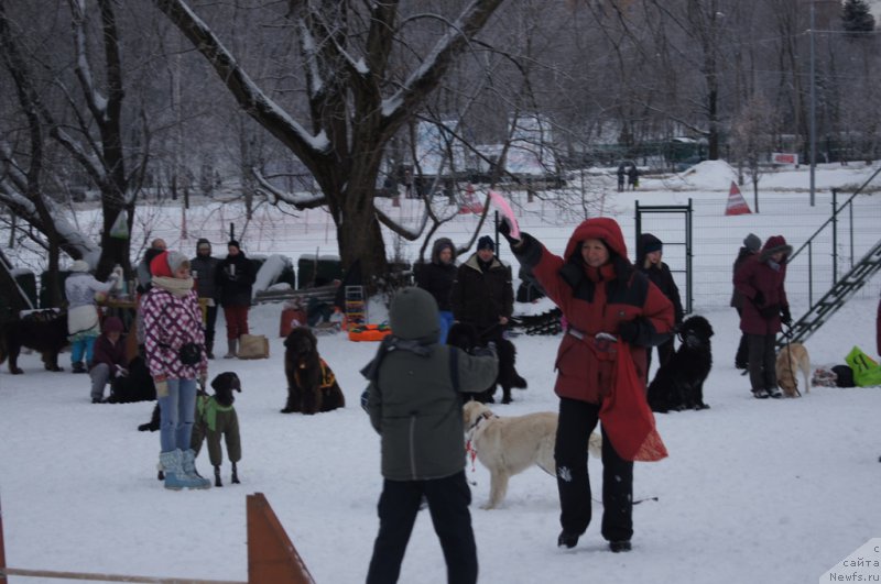 Фотография № 171409