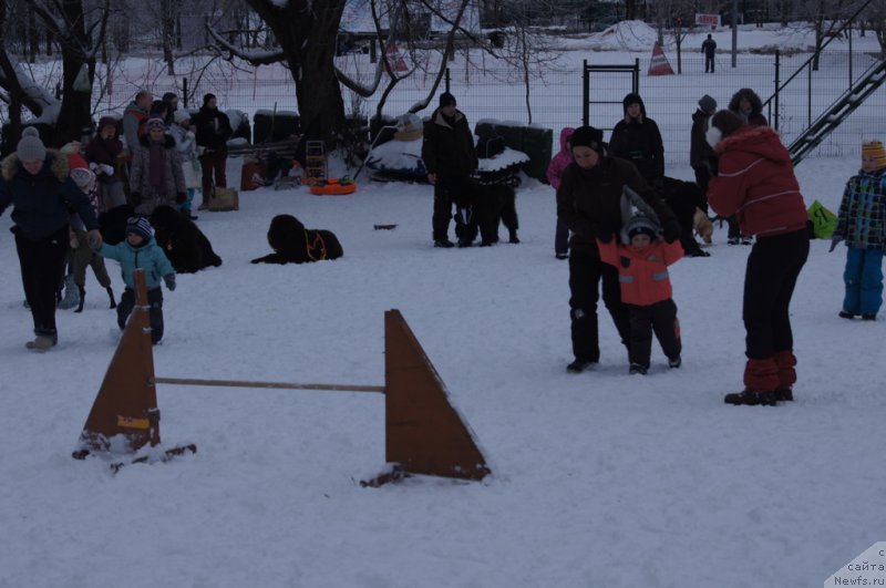 Фотография № 171410