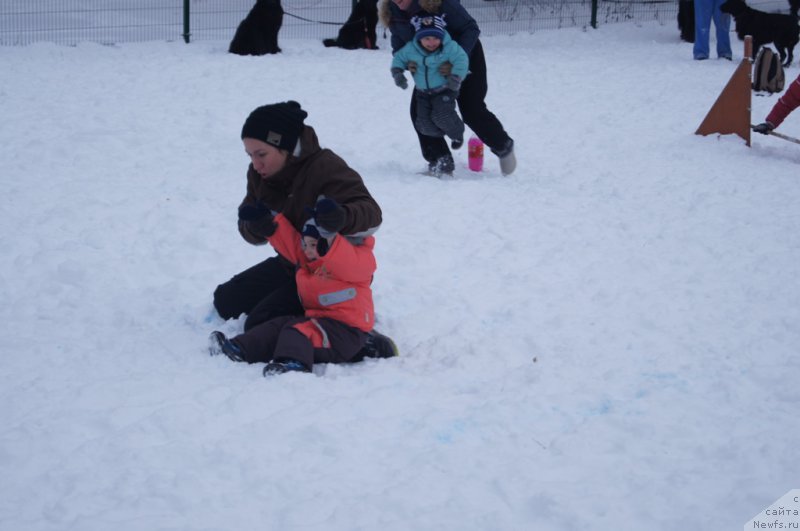 Фотография № 171412