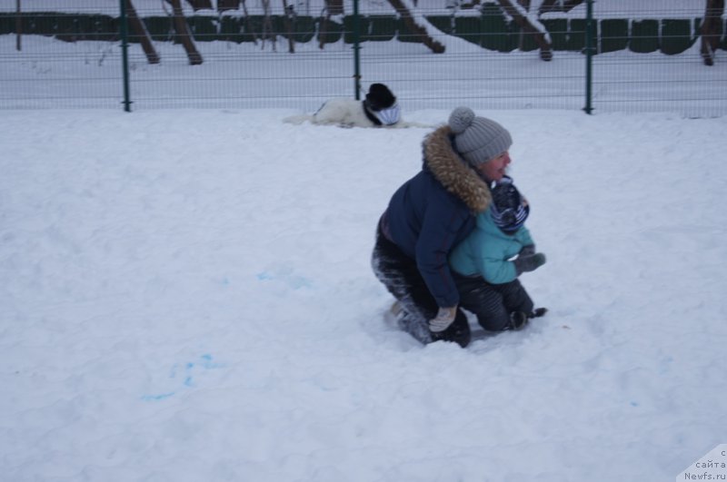 Фотография № 171413