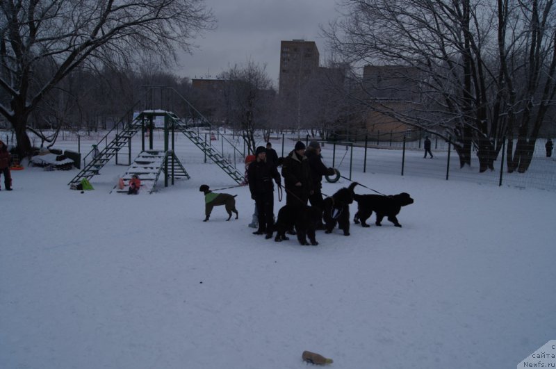 Фотография № 171414