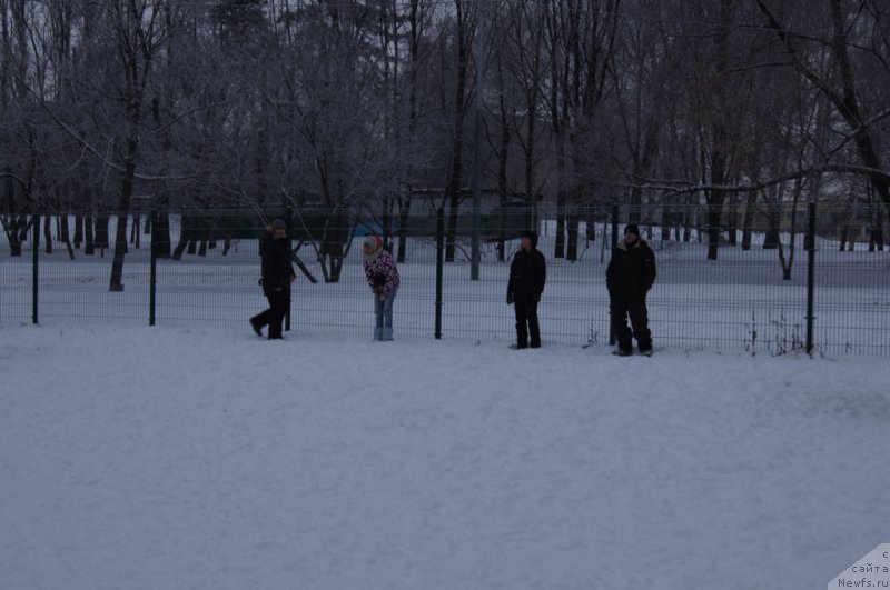 Фотография № 171415