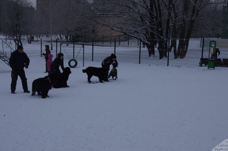 Фотография № 171416