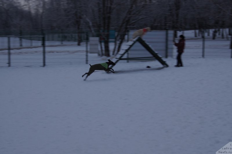 Фотография № 171417