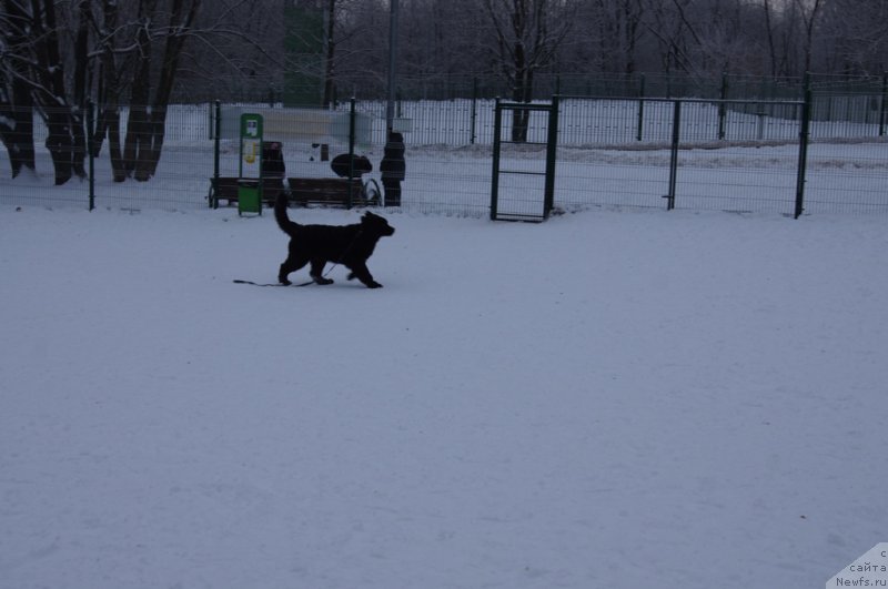 Фотография № 171418