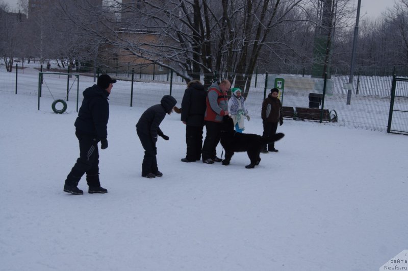 Фотография № 171419