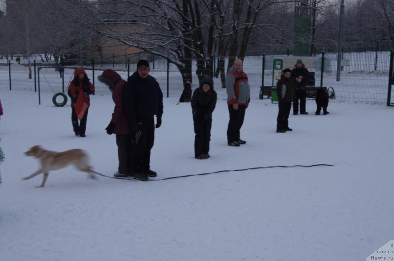 Фотография № 171421