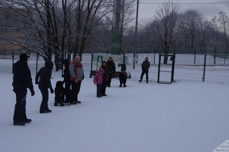 Фотография № 171422