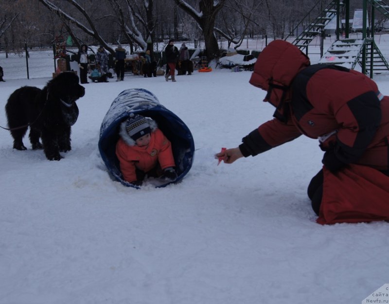 Фотография № 171423