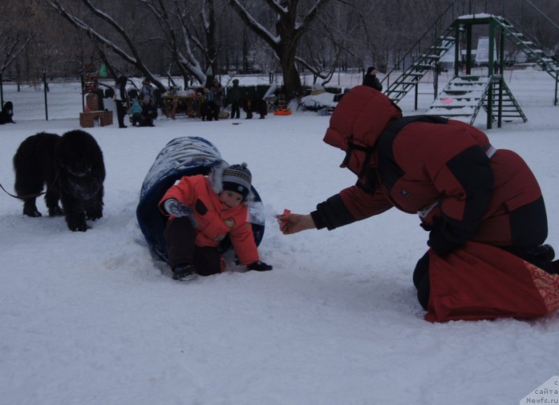 Фотография № 171424