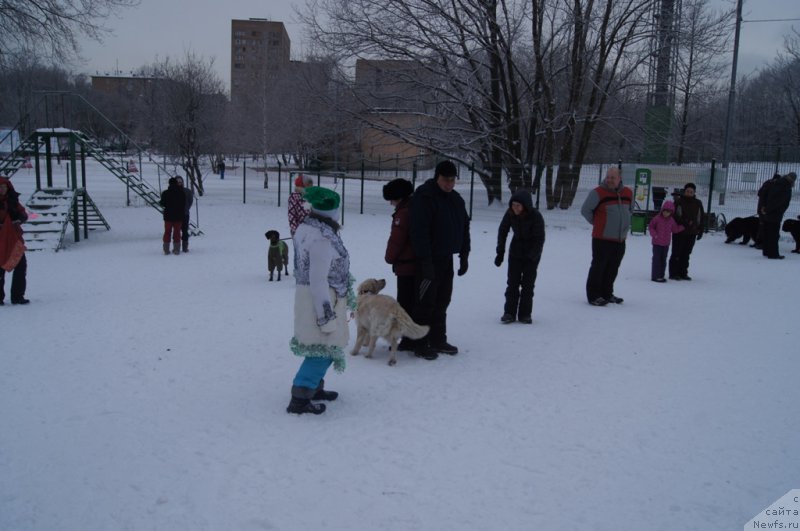 Фотография № 171425