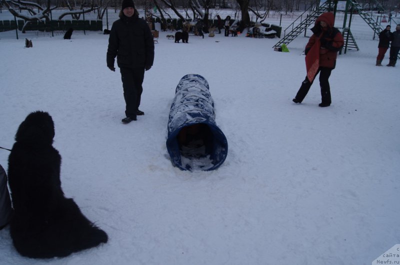 Фотография № 171426