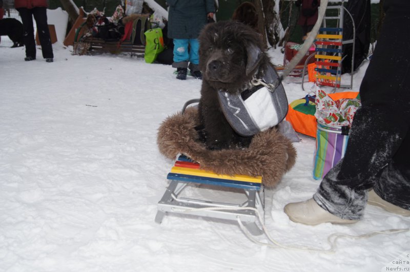 Фотография № 171428