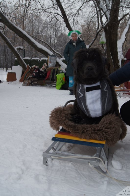 Фотография № 171429