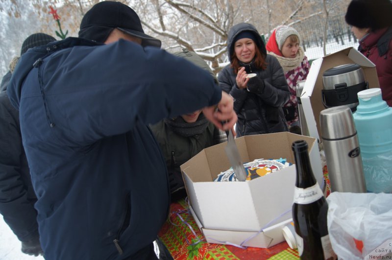 Фотография № 171430