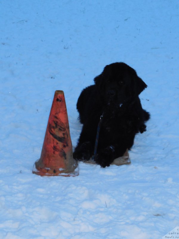 Фотография № 171448