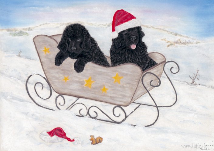 Фотография № 171460