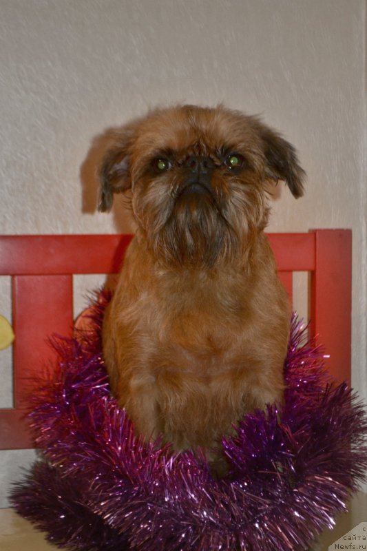 Фотография № 171469