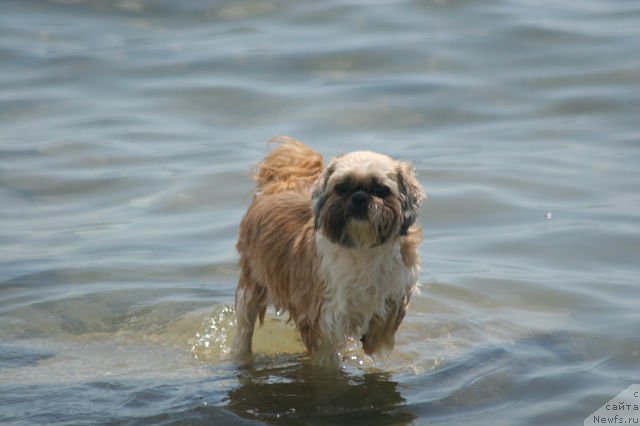 Фотография № 171471