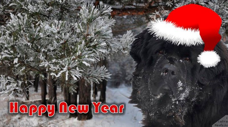 Фотография № 171508