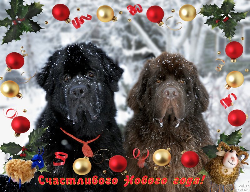 Фотография № 171514