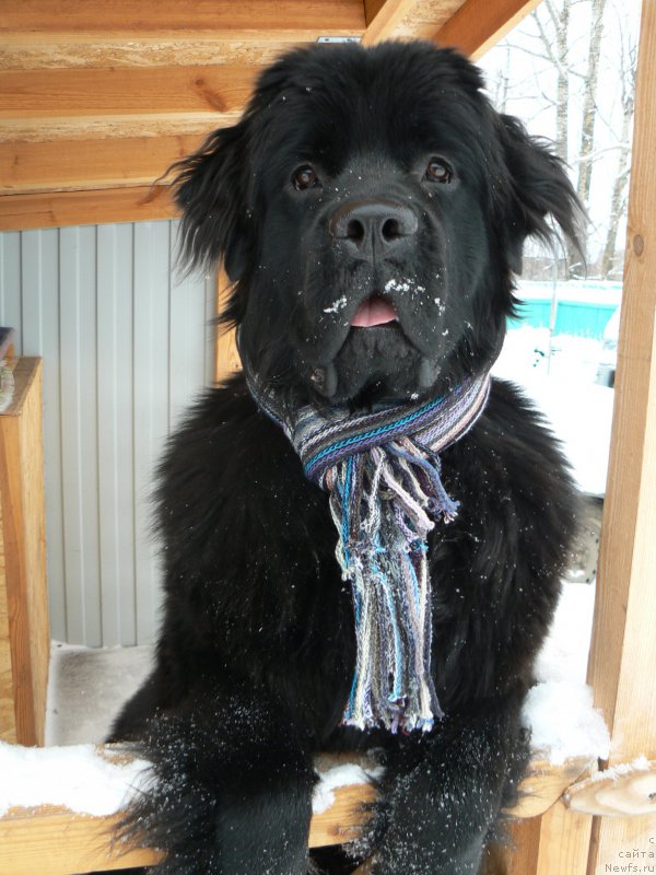 Фотография № 171558