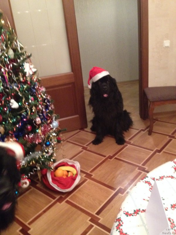 Фото: Мама Кора