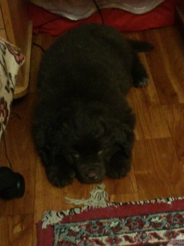 Фото: Вересковый Мёд с Берега Дона