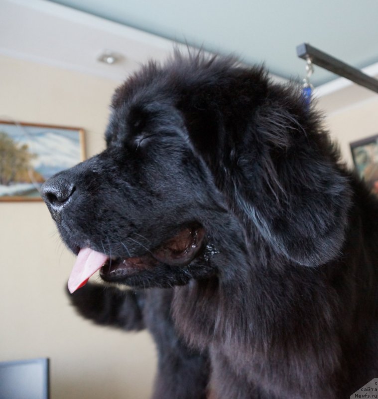 Фотография № 171586