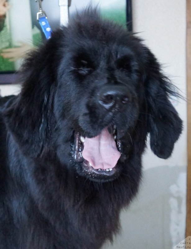 Фотография № 171587