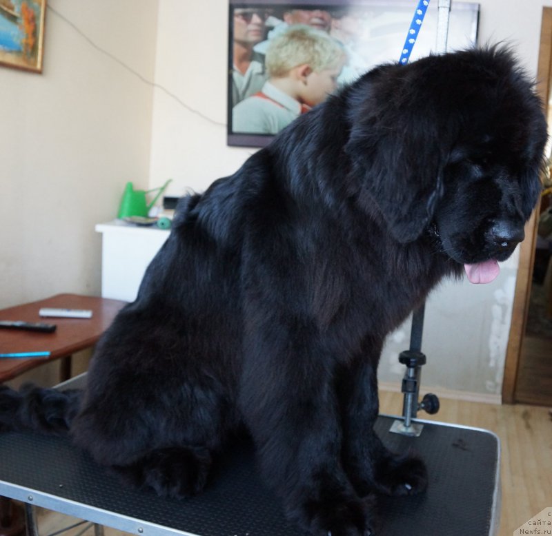 Фотография № 171588