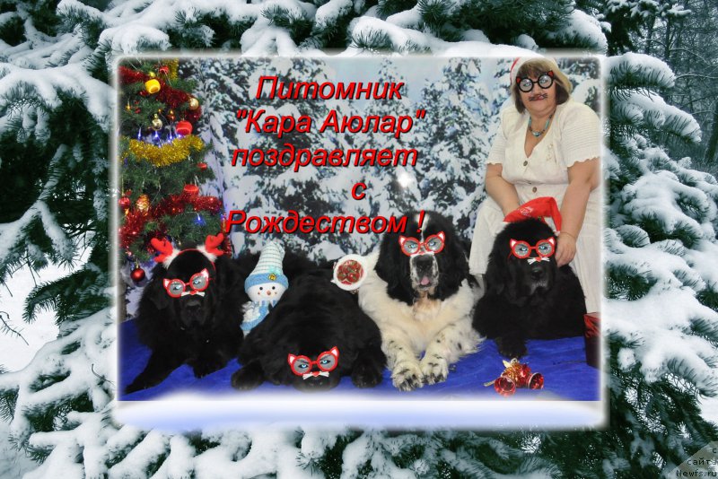 Фотография № 171616