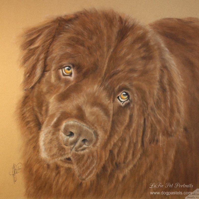 Фотография № 171622