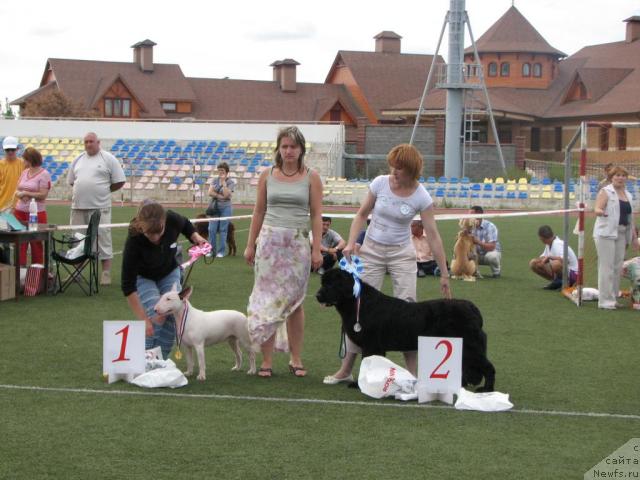 Фотография № 17163