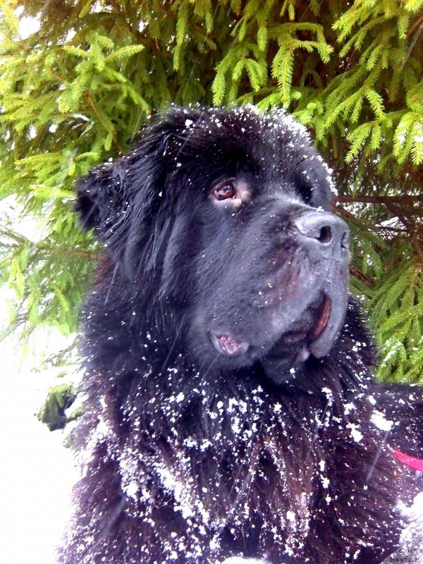 Фотография № 171668