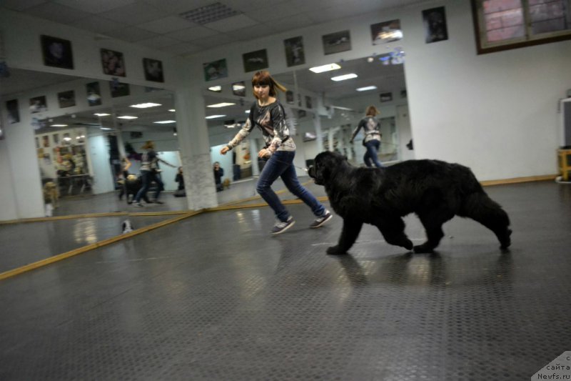 Фотография № 171671