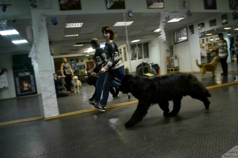 Фотография № 171672