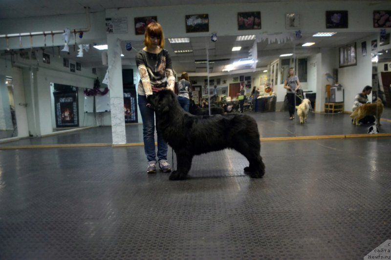 Фотография № 171674