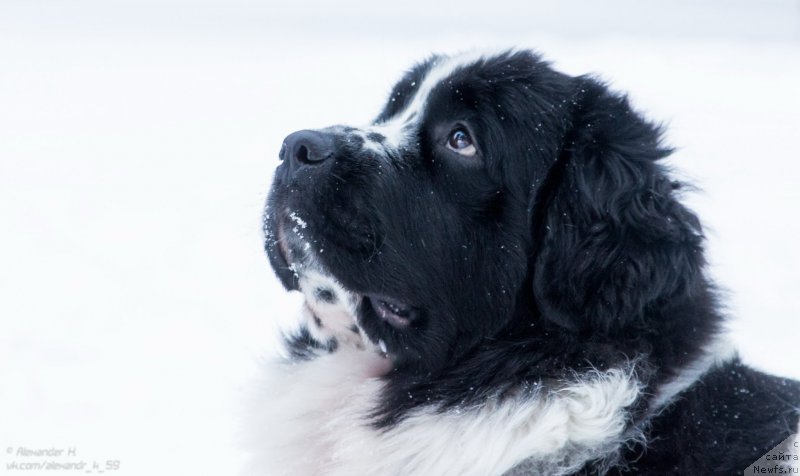 Фотография № 171676